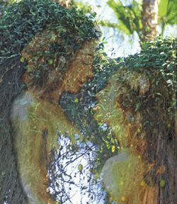 Girls in the Trees - Limited Edition Photographic Art by Christopher Strong